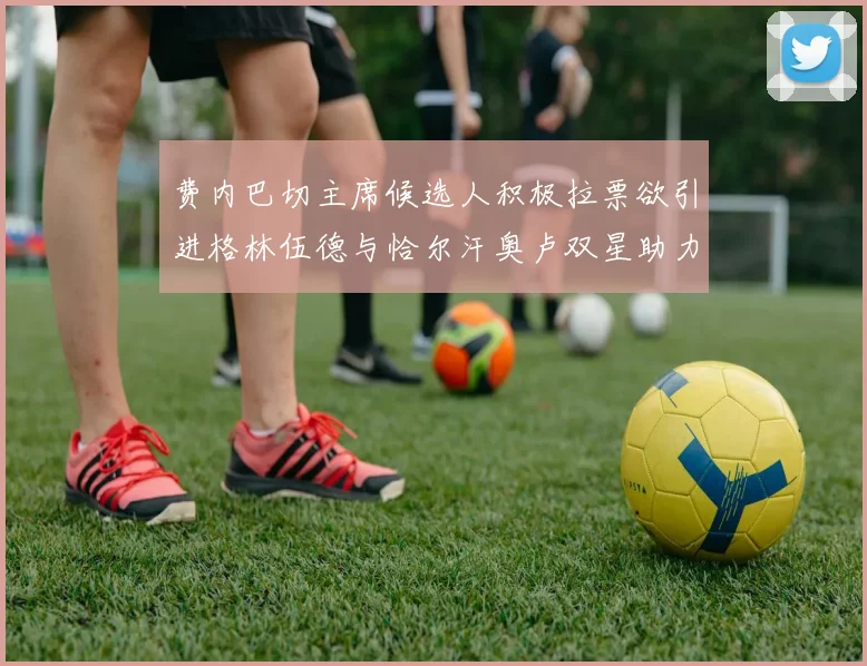 费内巴切主席候选人积极拉票欲引进格林伍德与恰尔汗奥卢双星助力球队