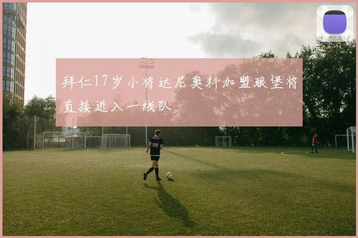 拜仁17岁小将达尼奥科加盟狼堡将直接进入一线队